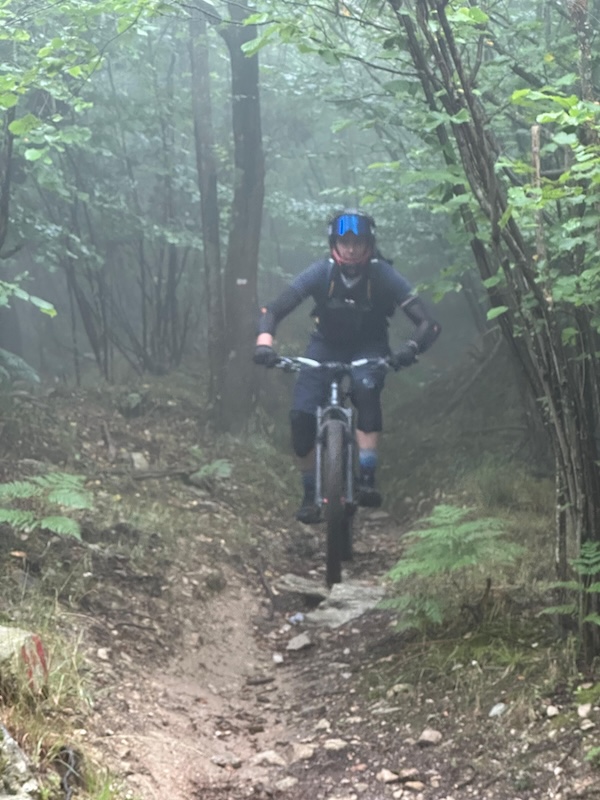 Descending through a dripping wet forest