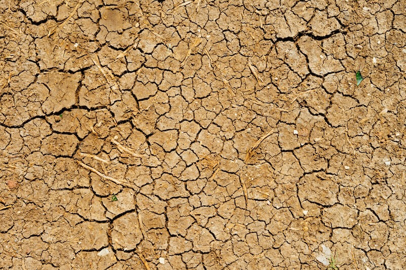 Parched earth
