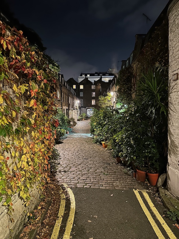 A mews at night